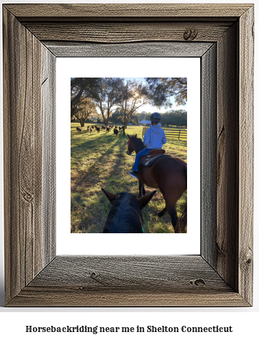 horseback riding near me in Shelton, Connecticut